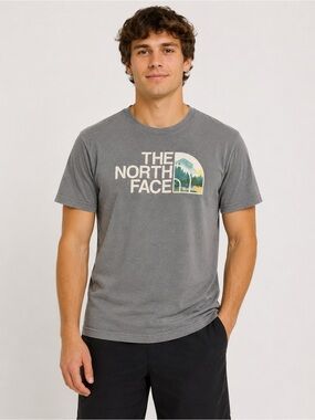 The North Face Mens Small S Blue Gray Big Logo T-Shirt